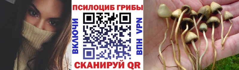 Галлюциногенные грибы мухоморы  Орехово-Зуево 